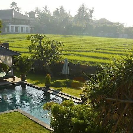 Ngeluwungan Boutique Hostel Canggu Exteriér fotografie