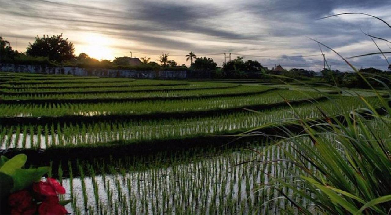 Ngeluwungan Boutique Hostel Canggu Exteriér fotografie